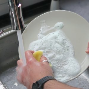 rentavaixelles rentavaixelles